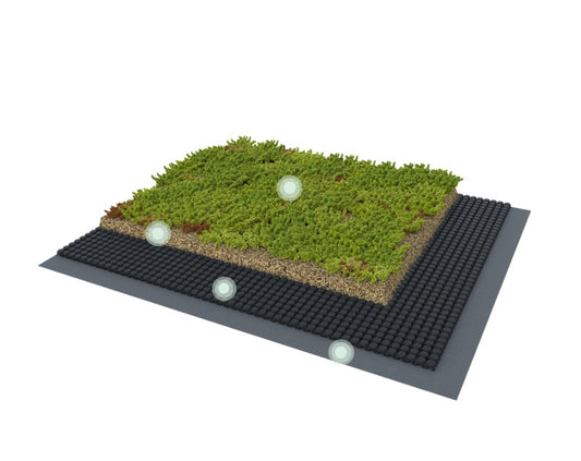 Optigrün Lightweight Roof