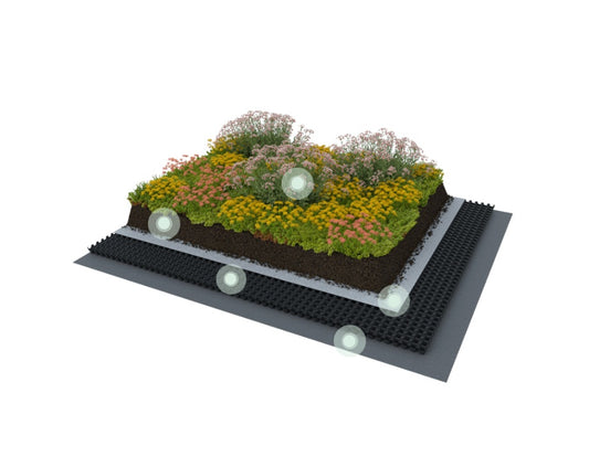 Optigrün Nature Roof